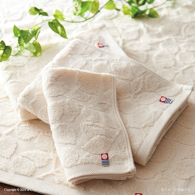 グリーンモード　今治エコタオルセット　No.50　割引き商品