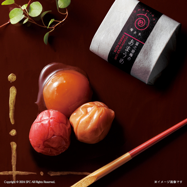 梅未来×千莉菴　「天の梅」紀州南高梅御進物6種詰合せ　No.58｜特選ギフト｜