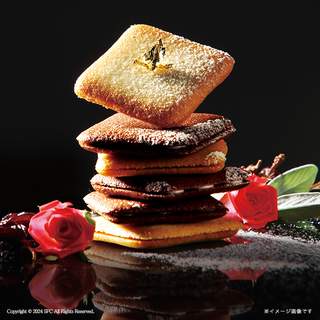 Tresore　Dolce　　フルーツカラーバウム＆ラングドシャ　No.30｜特選ギフト｜