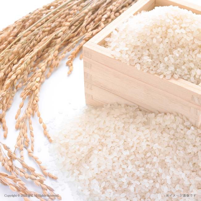 【送料無料】 鮭乃家　そのまま食べれる鮭切り身　フリーズドライと金賞健康米セット　No.160