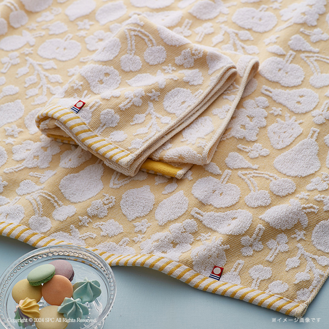 color　ihana　-カラーイハナ-　今治　フェイスタオル2Pセット　No.25　割引き商品