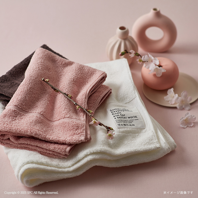 サクラ　オーガニックコットン　フェイス2P・ハンドタオルセット　No.32　割引き商品