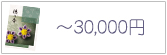 ～30,000円 