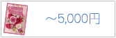 ～5,000円 